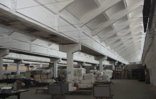 運(yùn)河明珠再煥新生 絲聯(lián)166與聯(lián)達(dá)機(jī)械續(xù)寫工業(yè)記憶